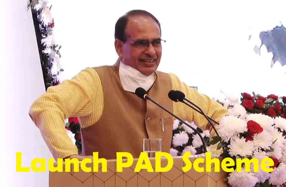 Launch Pad Scheme