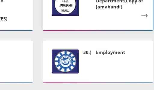 Rajasthan Unemployment Allowance Status 3