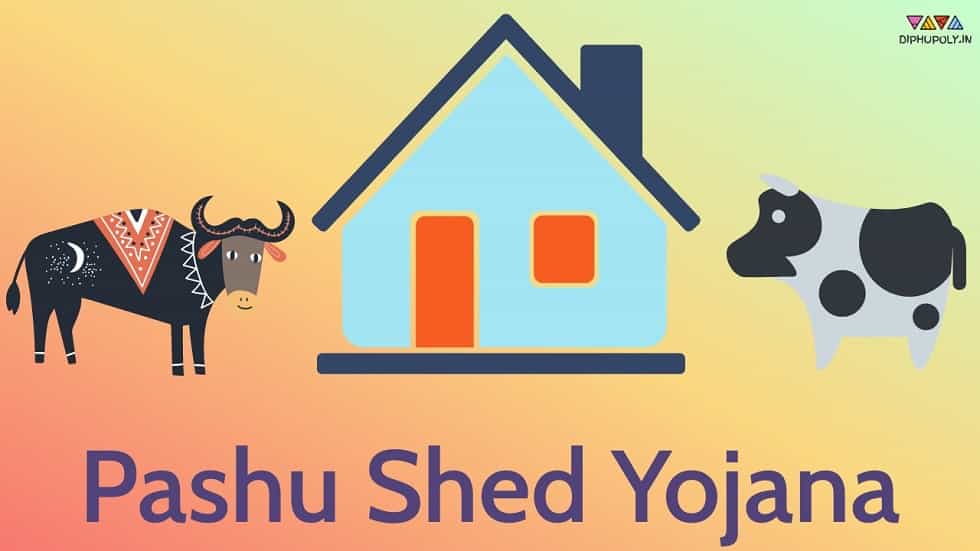 Pashu Shed Yojana