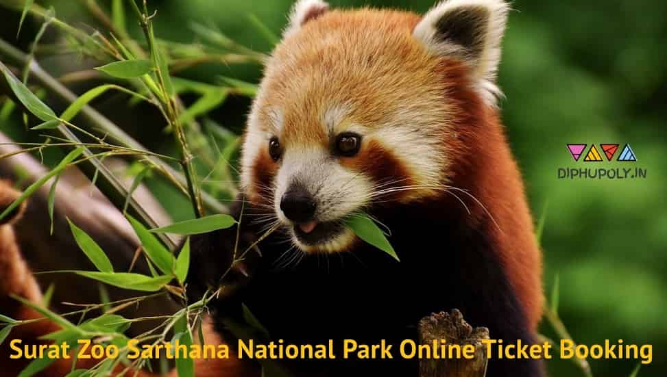 Surat Zoo Online Ticket Booking