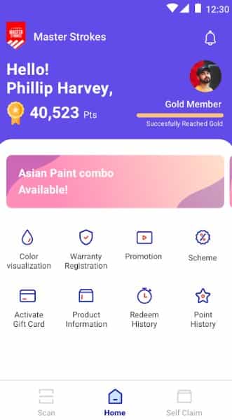 Asian Paints Painter Token Scheme