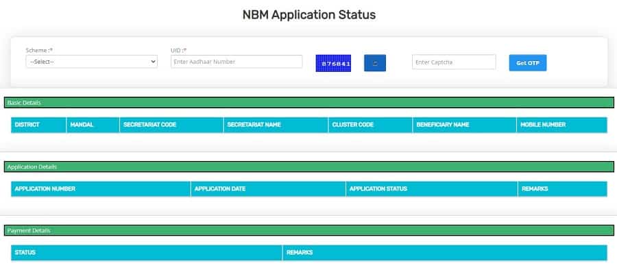 NBM Application Payment Status