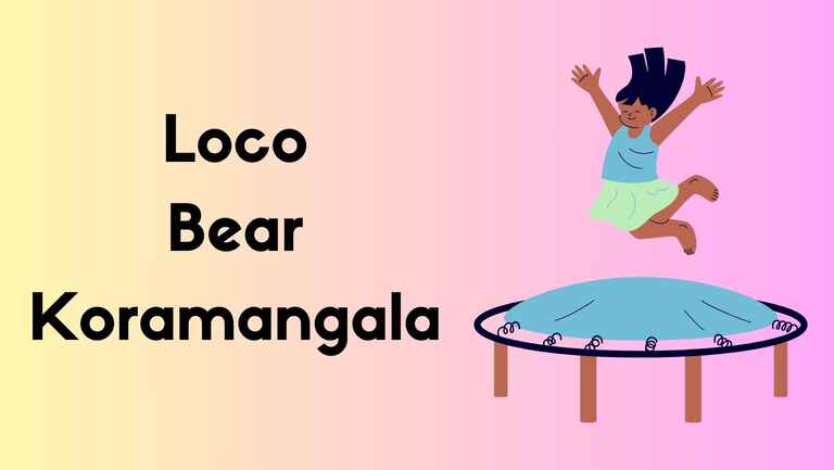 Loco Bear Koramangala Ticket Price