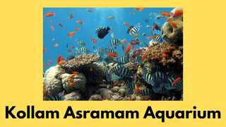 Kollam Asramam Aquarium Ticket Price
